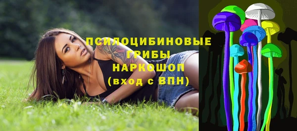 mix Няндома