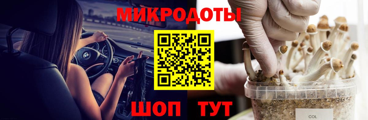 Галлюциногенные грибы Cubensis  Вход с VPN  Псилоцибиновые грибы Cubensis  Качканар 