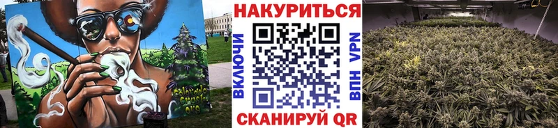 Каннабис план  кракен маркетплейс  Качканар  наркотики 